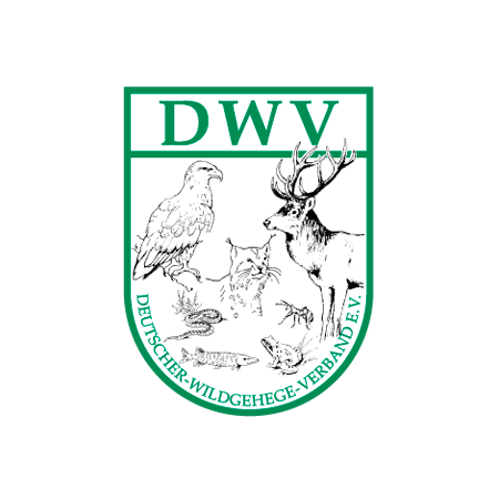 DMW Logo