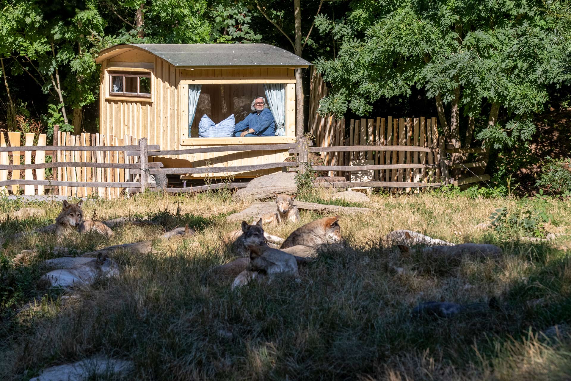 Wildpark Bad Mergentheim Ubernachtsungsmoglichkeiten