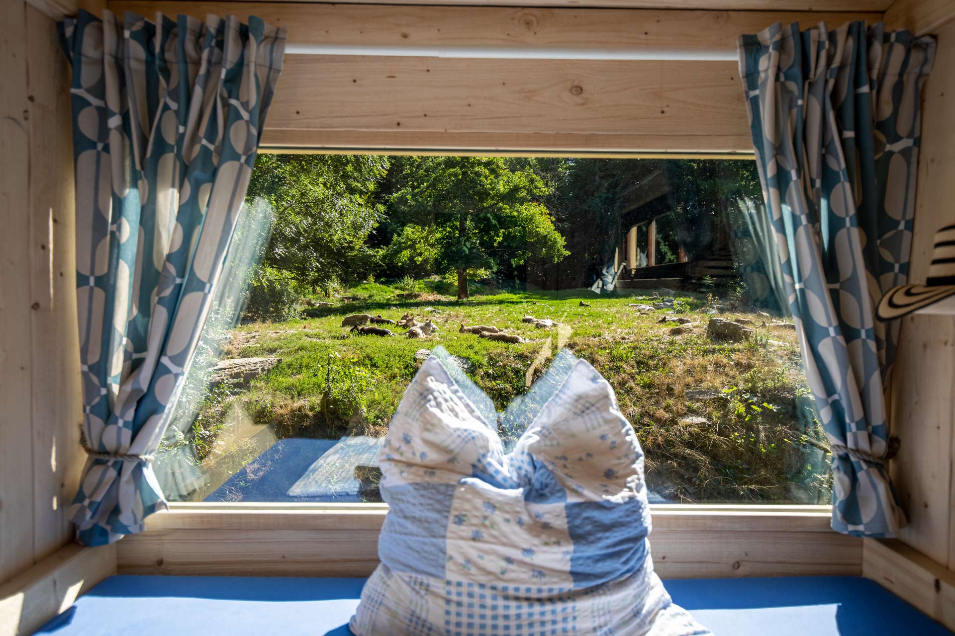 Wildpark Bad Mergentheim Ubernachtsungsmoglichkeiten