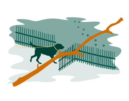 Nehmen Sie Ihren Hund nicht mit ins Gehege.